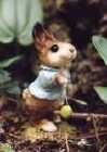 benjamin bunny